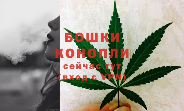 шишки Балабаново