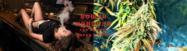 шишки Балабаново