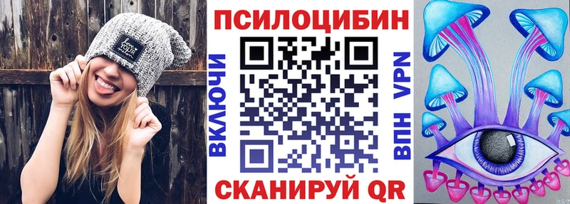 где купить наркоту  Хилок  Галлюциногенные грибы Psilocybine cubensis 